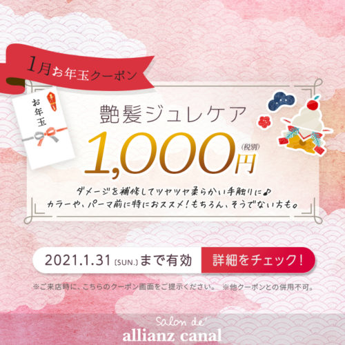 【1月限定お年玉クーポン】艶髪ジュレケア 1,000円(税別) イメージ