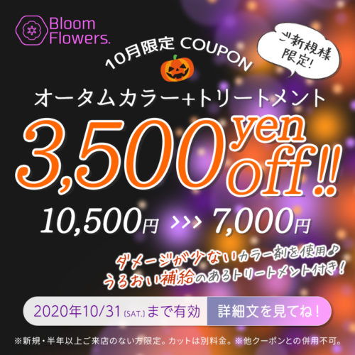 【10月限定クーポン】オータムカラー + トリートメント付 通常価格¥10,500→¥7,000(税別) イメージ