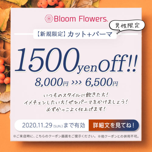 【11月限定メンズクーポン】カット+メンズパーマ 通常価格8,000円→6,500円(税別) イメージ