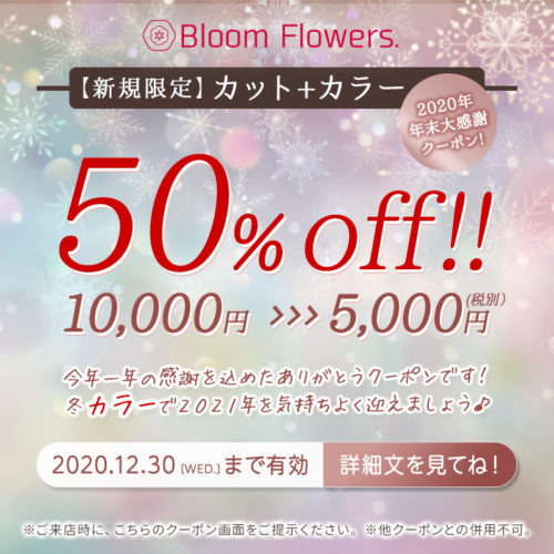 【年末大感謝クーポン】カット+カラー 通常価格10,000円→5,000円(税別) イメージ