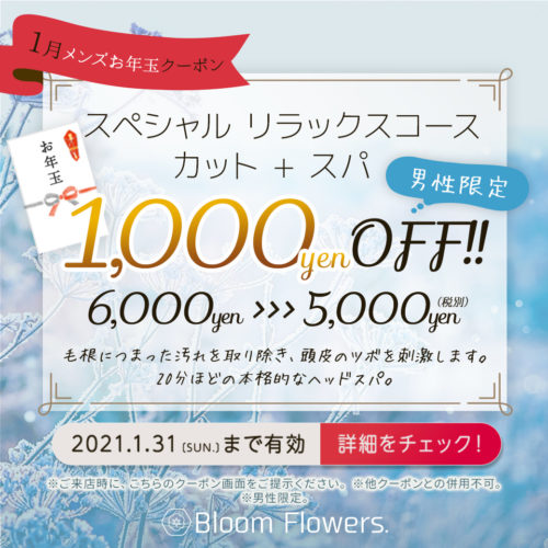【1月限定お年玉クーポン】スペシャルリラックスコース カット+スパ(20分) ¥6,000円OFF【男性限定】 イメージ